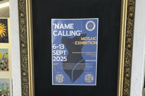 gallery5